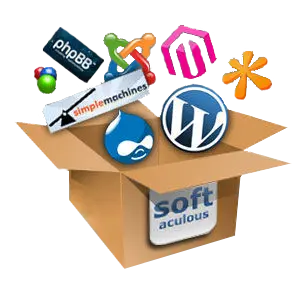 Install a Wordpress blog or other CMS and much more in 1 click. No knowledge required. More than 320 applications available!